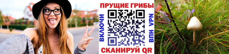 Галлюциногенные грибы Cubensis  Купить  Чебоксары 